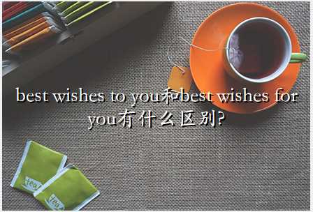 best wishes to you和best wishes for you有什么区别?