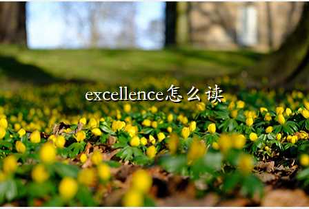 excellence怎么读