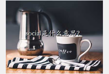 social是什么意思？